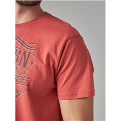 Футболка мужская арт. 02285/Rodeo