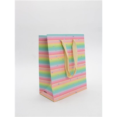 Пакет подарочный «Rainbow Gift», horizontal (18*23*10)