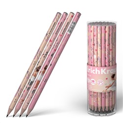 Карандаш ч/гр HB ErichKrause Pointes круглый 60731/42/Китай