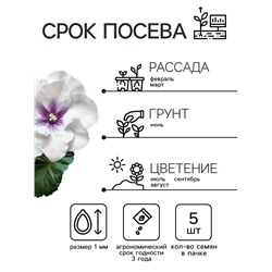 Семена комнатных цветов Глоксиния Аванти «Светло-фиолетовая», F1, «Гавриш», 4 шт.