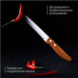 Нож кухонный Доляна «Эльбрус», лезвие 11.5 см