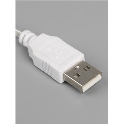 Неоновая вывеска «Кошка» 16 × 23 см, батарейки ААх3 (не в комплекте), USB, свечение розовое