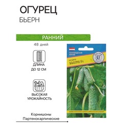 Семена огурца "Бьерн", F1, 5 шт.