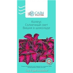 Колеус Солнечный свет Вишня в шоколаде, арт.: 3475