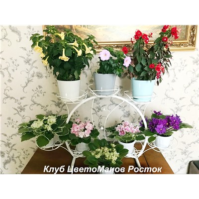 Ажурная клумба на 7 горшков