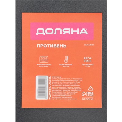 Противень Доляна «Жаклин. Прямоугольник», 42×29×2 см, антипригарное покрытие, чёрный