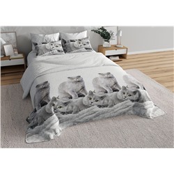 Постельное белье перкаль / Северные британцы