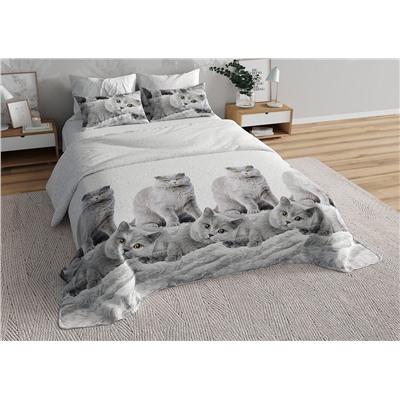 Постельное белье перкаль / Северные британцы