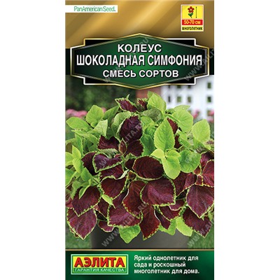 1351 Колеус Шоколадная симфония, смесь сортов 3шт