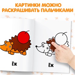 Раскраски набор «Мои первые раскраски», 12 шт. по 16 стр.