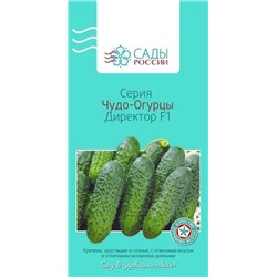Семена Огурец Директор чудо F1, арт.: 3385