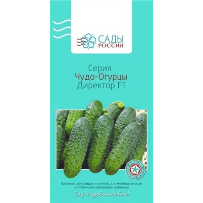 Семена Огурец Директор чудо F1, арт.: 3385