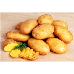 Семенной Картофель Королева Анна, арт.: 73789