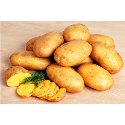 Семенной Картофель Королева Анна, арт.: 73789