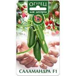 Семена Огурец Саламандра F1, арт.: 9506