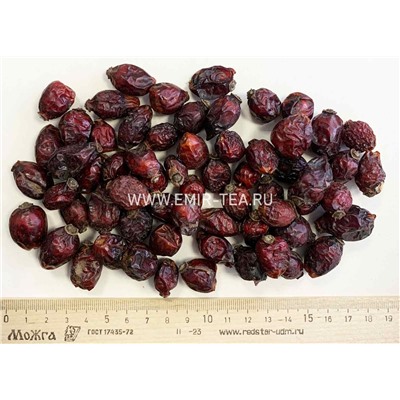 Шиповник целый  (код 0160)