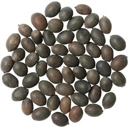 Семена Лотоса (100 шт), Lotus Flower Seeds, произв. Angel Enterprises