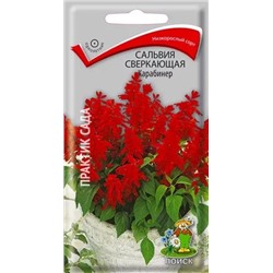 Семена Сальвия сверкающая Карабинер (ЦВ) ("1) 0,1гр., арт.: 70650