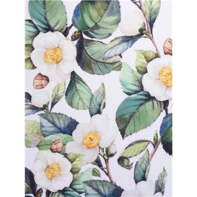 Комплект штор для кухни с подхватами Сamellia, 145×180 см-2 шт., 100% п/э