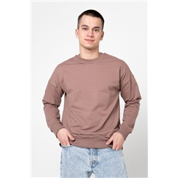 Джемпер мужской 23-392M3-31 капучино