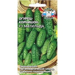 Семена Огурец Матильда корнишон F1, арт.: 2189