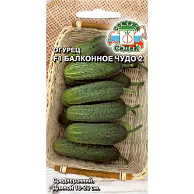 Семена Огурец Балконное чудо 2 F1, арт.: 16241