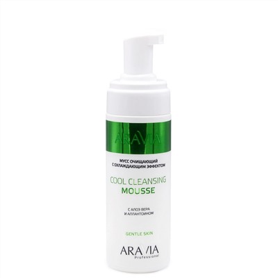 Aravia Мусс очищающий с охлаждающим эффектом с алоэ вера и аллантоином / Cool Cleansing Mousse, 160 мл