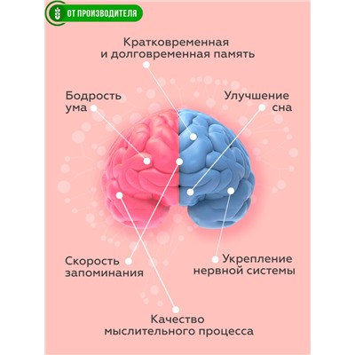 Напиток "Эрудит" с клубникой (для памяти), 2 г х 14 саше / Сибирская клетчатка