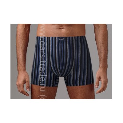 Трусы мужские GS7242 Gentlemen шорты