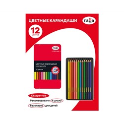 Карандаши цветные Гамма, 12цв., квадратные, заточен., метал. пенал