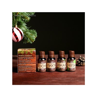 Новогодний набор эфирных масел «Крепкого здоровья», сосна, пихта, эвкалипт, мята, 4 шт. по 15 мл