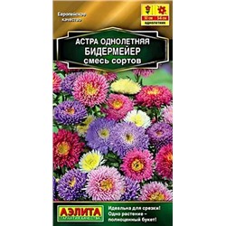 Семена Астра Бидермейер смесь, арт.: 10726