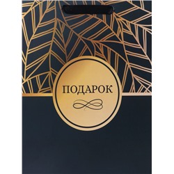 Пакет подарочный ламинированный вертикальный «Подарок», M 26 × 32 × 12 см