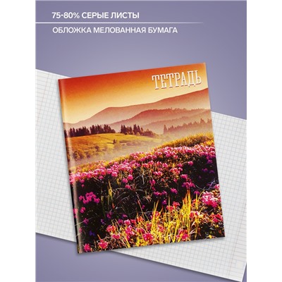 Тетрадь 48 листов в клетку, Calligrata «Времена года», обложка мелованная бумага, серые листы, МИКС