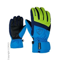 Skihandschuhe