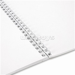 Альбом для рисования А4, 24 л., гребень, обложка картон, 195х285 мм, МИКС-1