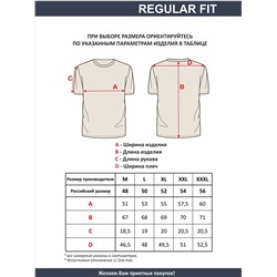 Футболка мужская арт. 02285