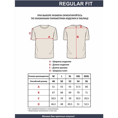 Футболка мужская арт. 02285/LightHouse