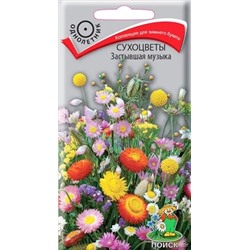 Семена Сухоцветы Застывшая музыка, арт.: 12318
