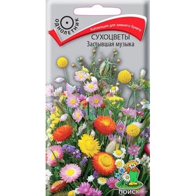 Семена Сухоцветы Застывшая музыка, арт.: 12318