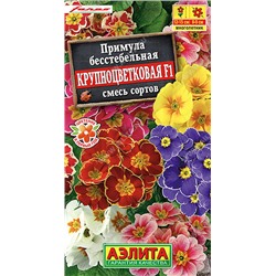 1578 Примула Крупноцветковая F1, смесь сортов 7шт