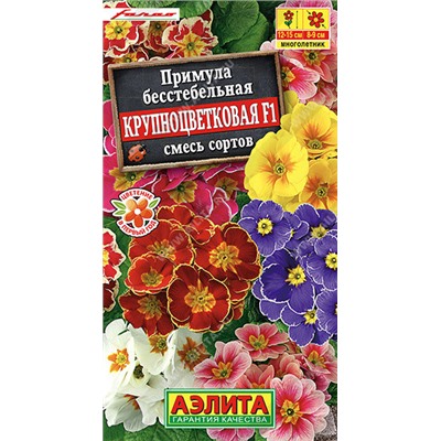1578 Примула Крупноцветковая F1, смесь сортов 7шт