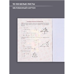 Тетрадь предметная 48 листов в клетку, Calligrata «Неоновые звери. Геометрия», обложка мелованный картон