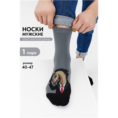 Носки мужские Жак