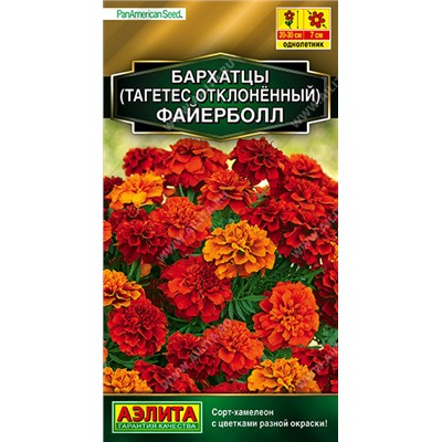 1159 Бархатцы Файерболл отклоненные 5шт