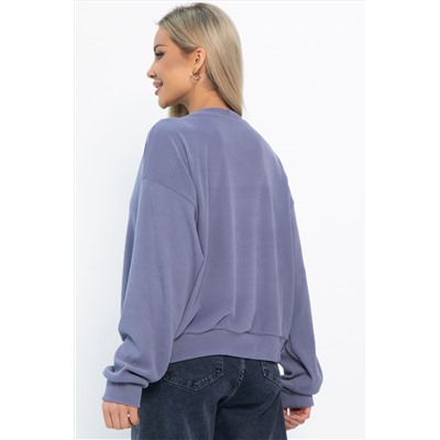 Свитшот Эфес (серый) Б14902-25М