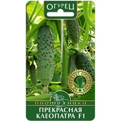 Огурец Прекрасная Клеопатра F1