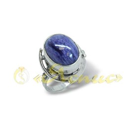 0089К   Маятник
