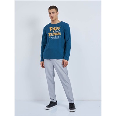 Футболка мужская арт. 02245/RD Jeans