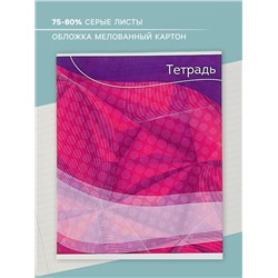 Тетрадь 48 листов в линейку Calligrata «Графика-2», обложка мелованный картон, блок №2, белизна 75% (серые листы), МИКС